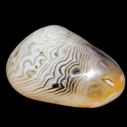 Crazy Lace Agate 41*32*210mm 37g in sunlight - Rocks and Things Store