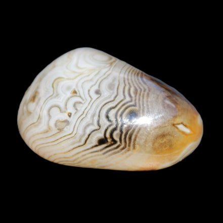 Crazy Lace Agate 41*32*210mm 37g in sunlight - Rocks and Things Store