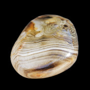 Crazy Lace Agate 41*32*210mm 37g in sunlight - Rocks and Things Store