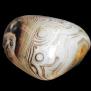 Crazy Lace Agate 41*32*210mm 37g in sunlight - Rocks and Things Store