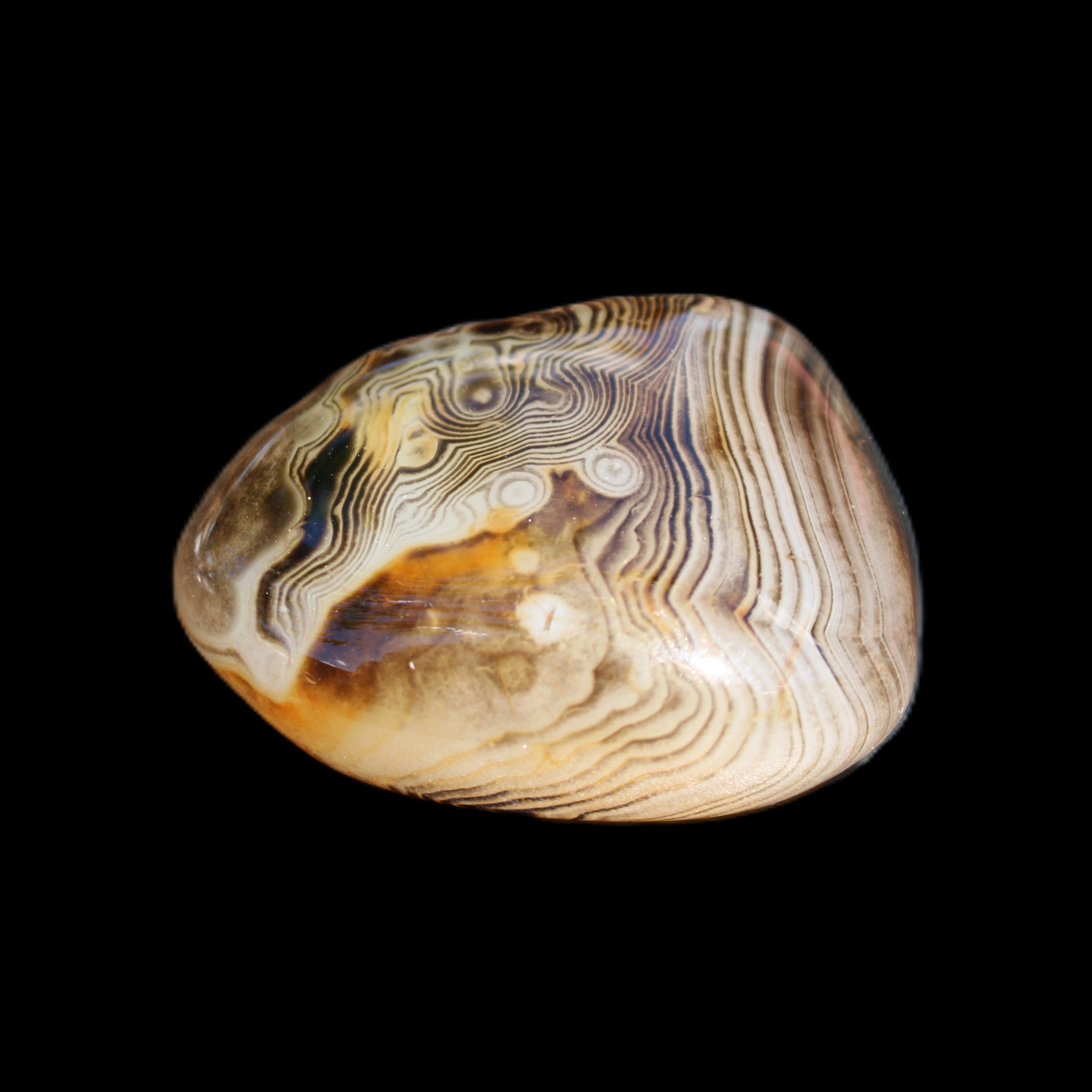 Crazy Lace Agate 41*32*210mm 37g in sunlight - Rocks and Things Store