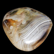 Crazy Lace Agate 41*32*210mm 37g in sunlight - Rocks and Things Store