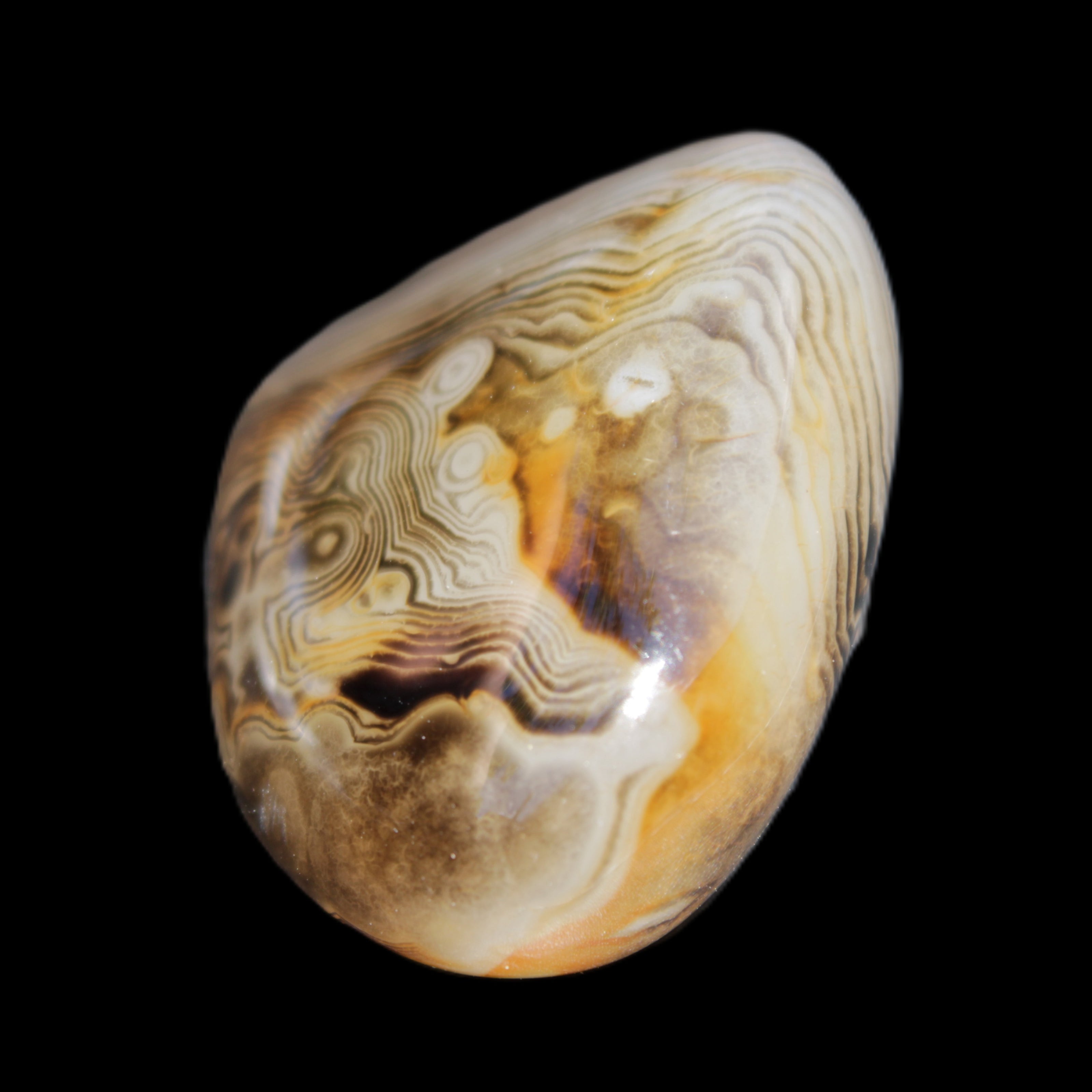 Crazy Lace Agate 41*32*210mm 37g in sunlight - Rocks and Things Store