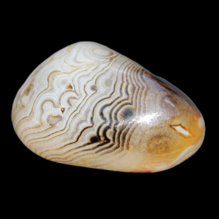 Crazy Lace Agate 41*32*210mm 37g in sunlight - Rocks and Things Store