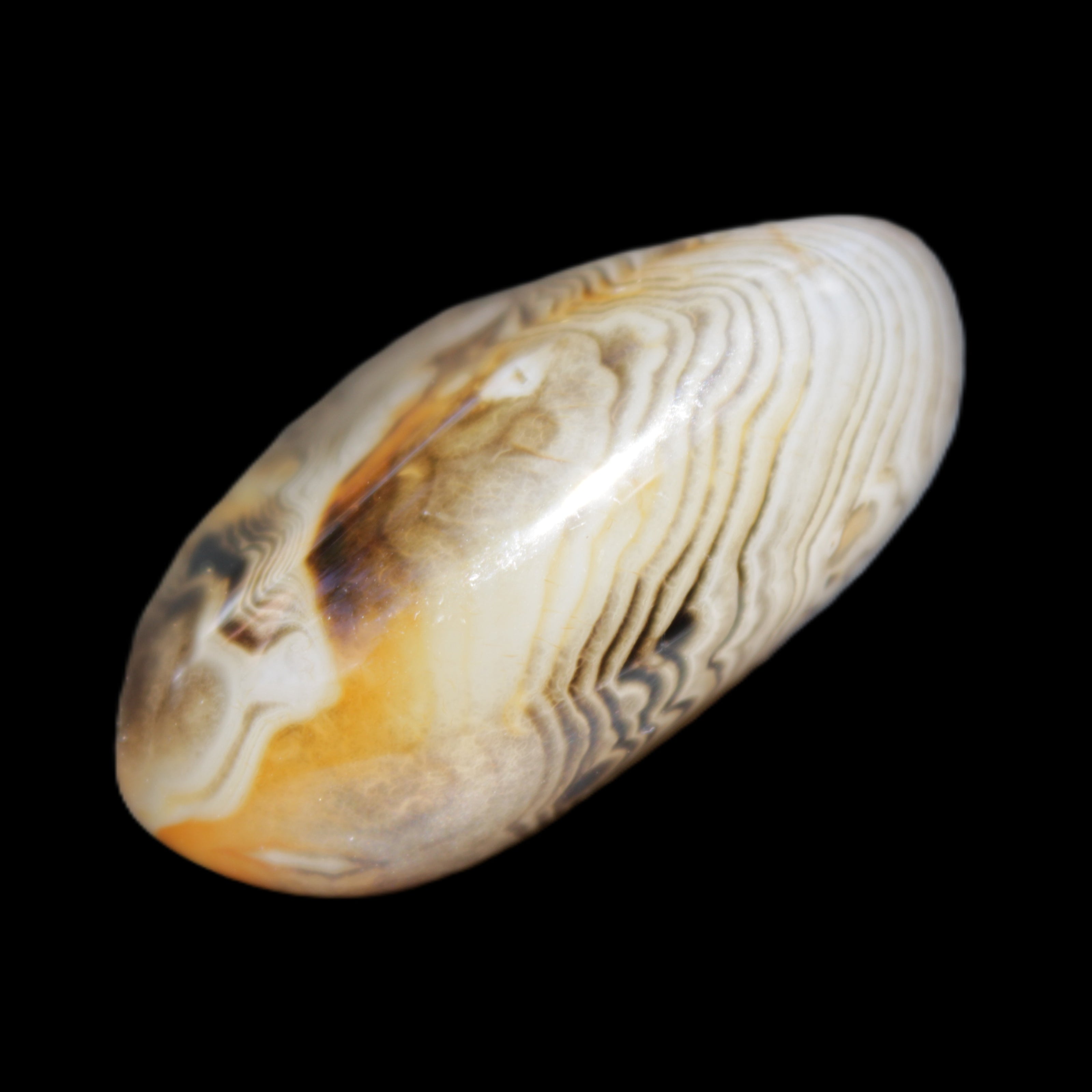 Crazy Lace Agate 41*32*210mm 37g in sunlight - Rocks and Things Store