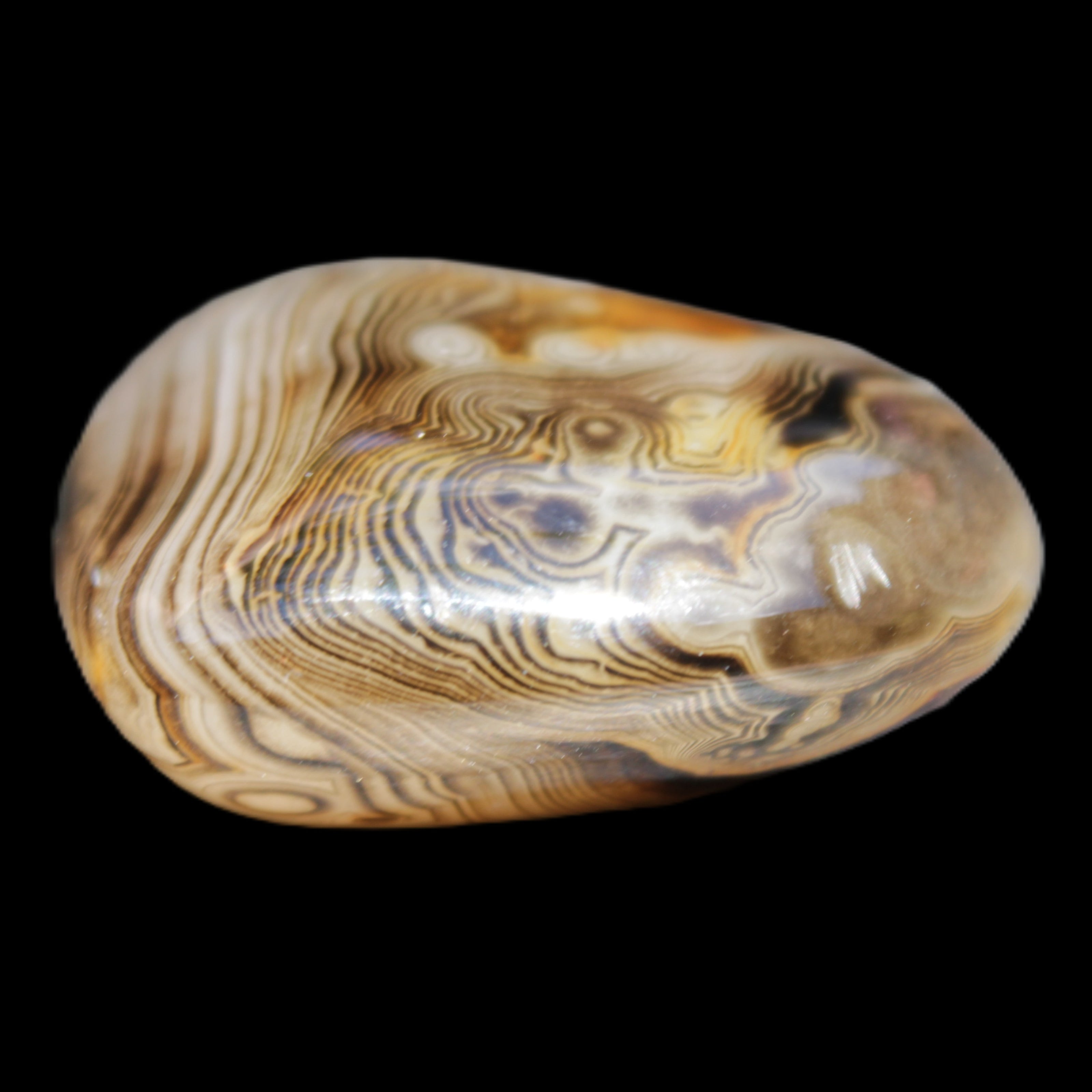 Crazy Lace Agate 41*32*210mm 37g in sunlight - Rocks and Things Store