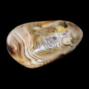 Crazy Lace Agate 41*32*210mm 37g in sunlight - Rocks and Things Store