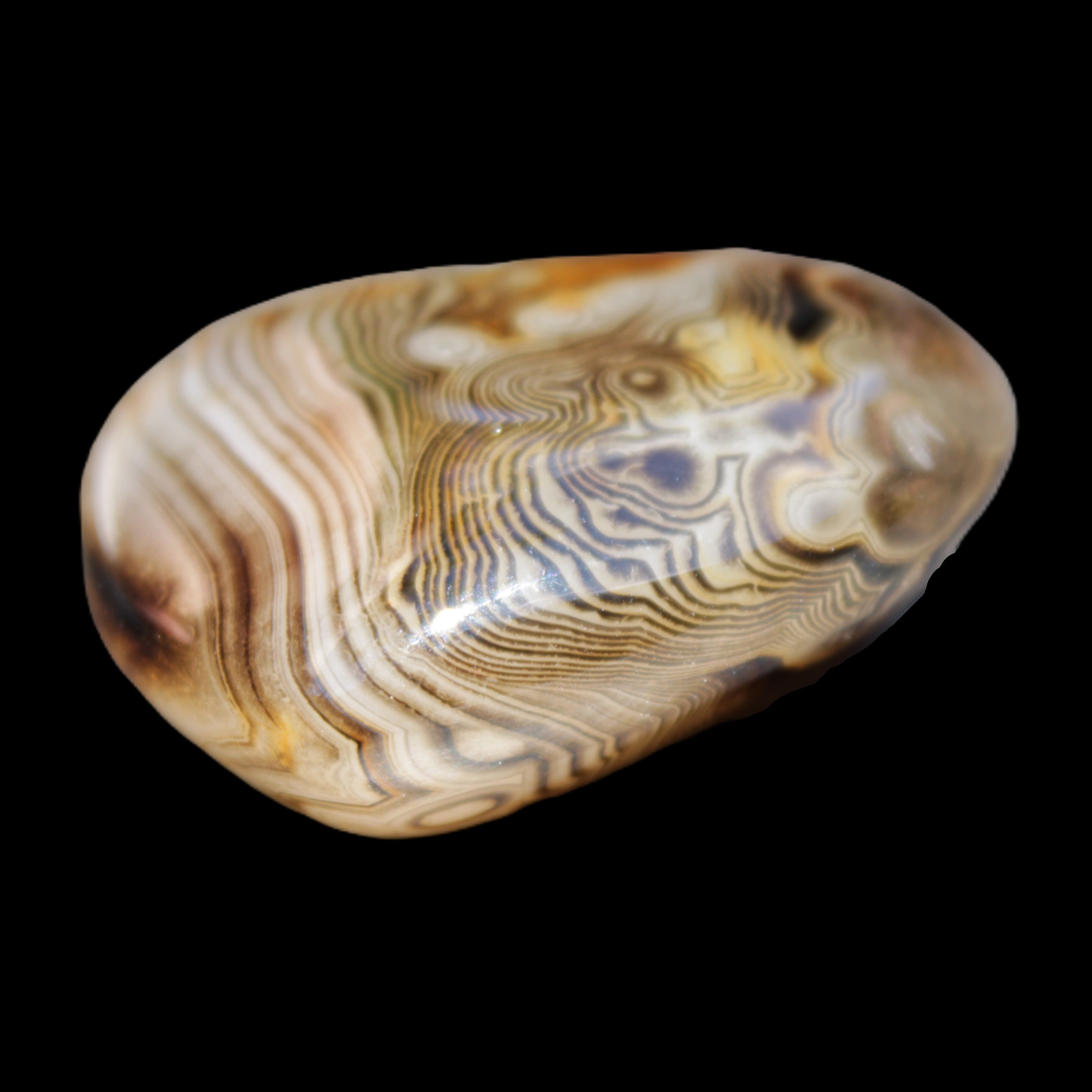 Crazy Lace Agate 41*32*210mm 37g in sunlight - Rocks and Things Store