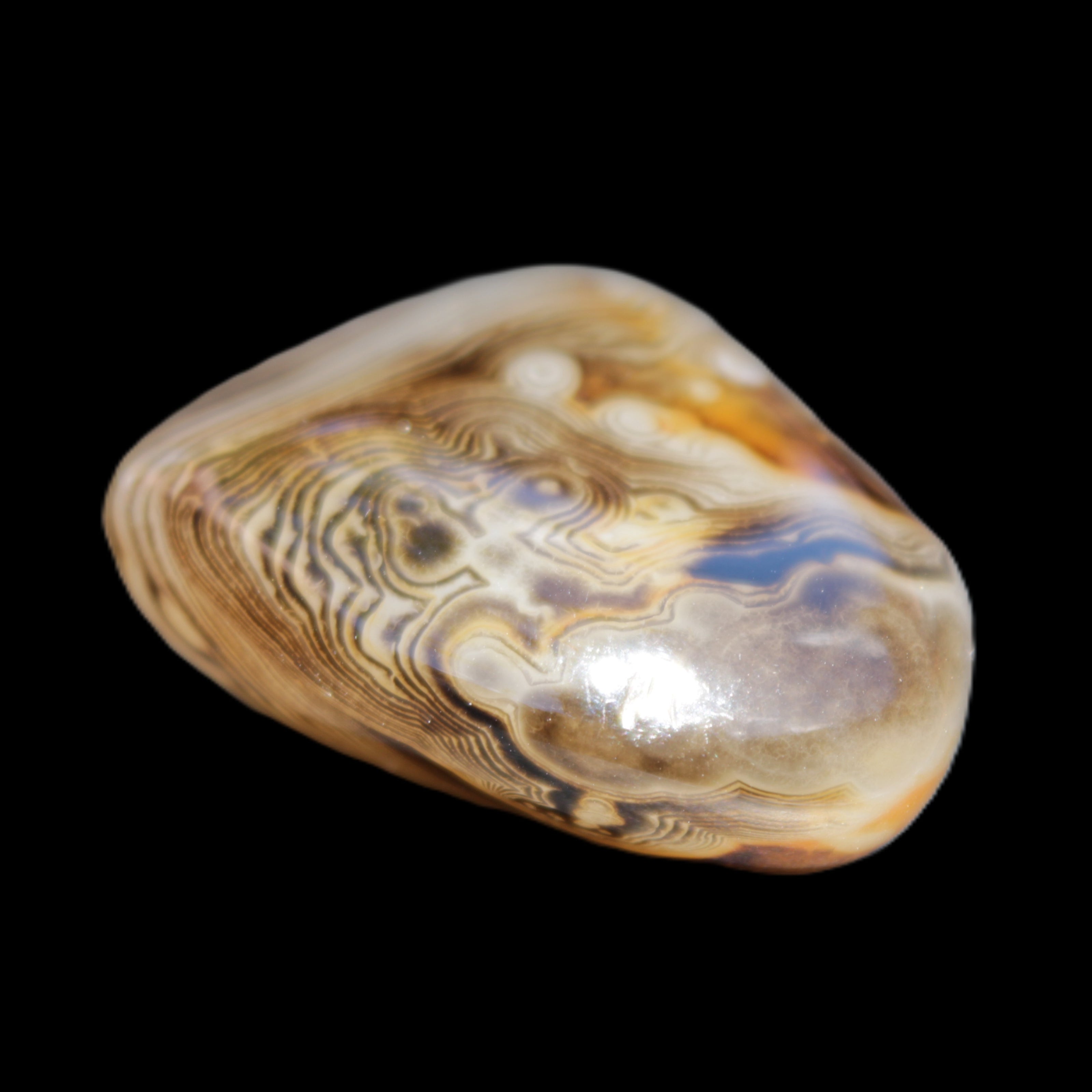 Crazy Lace Agate 41*32*210mm 37g in sunlight - Rocks and Things Store