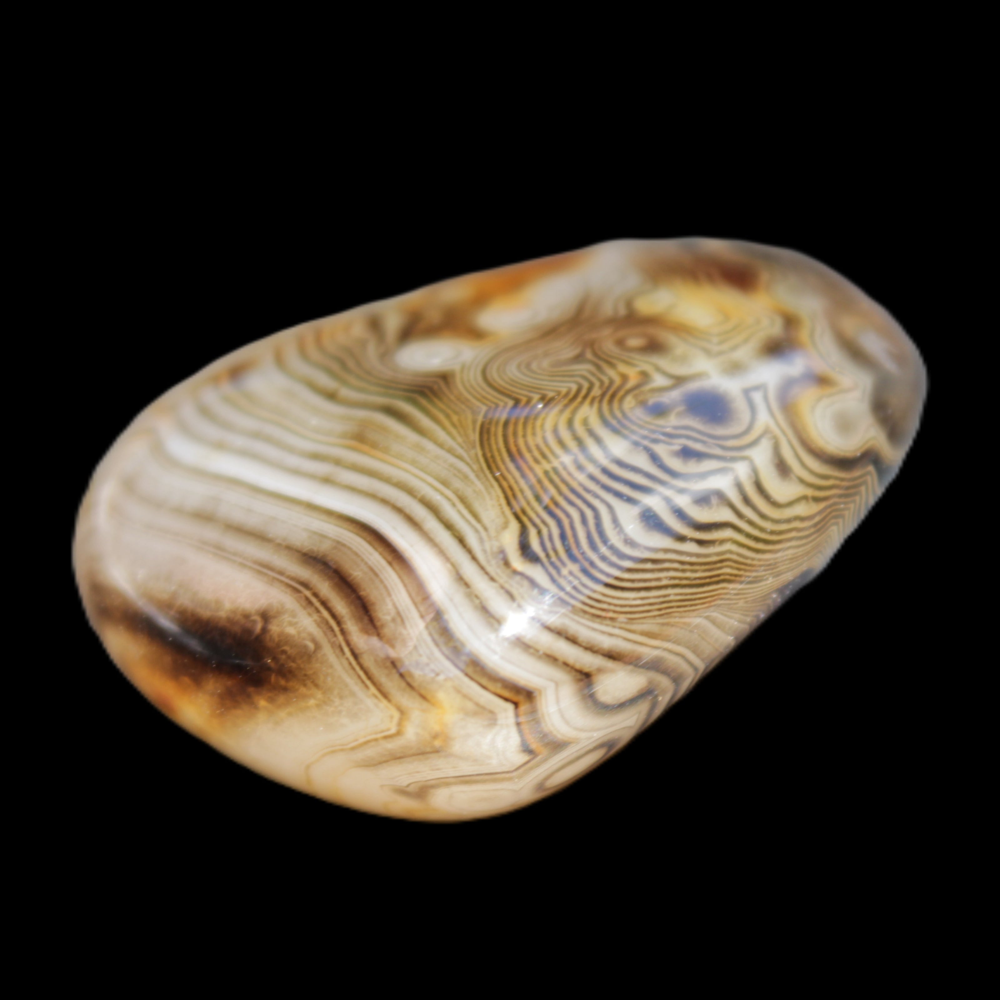 Crazy Lace Agate 41*32*210mm 37g in sunlight - Rocks and Things Store