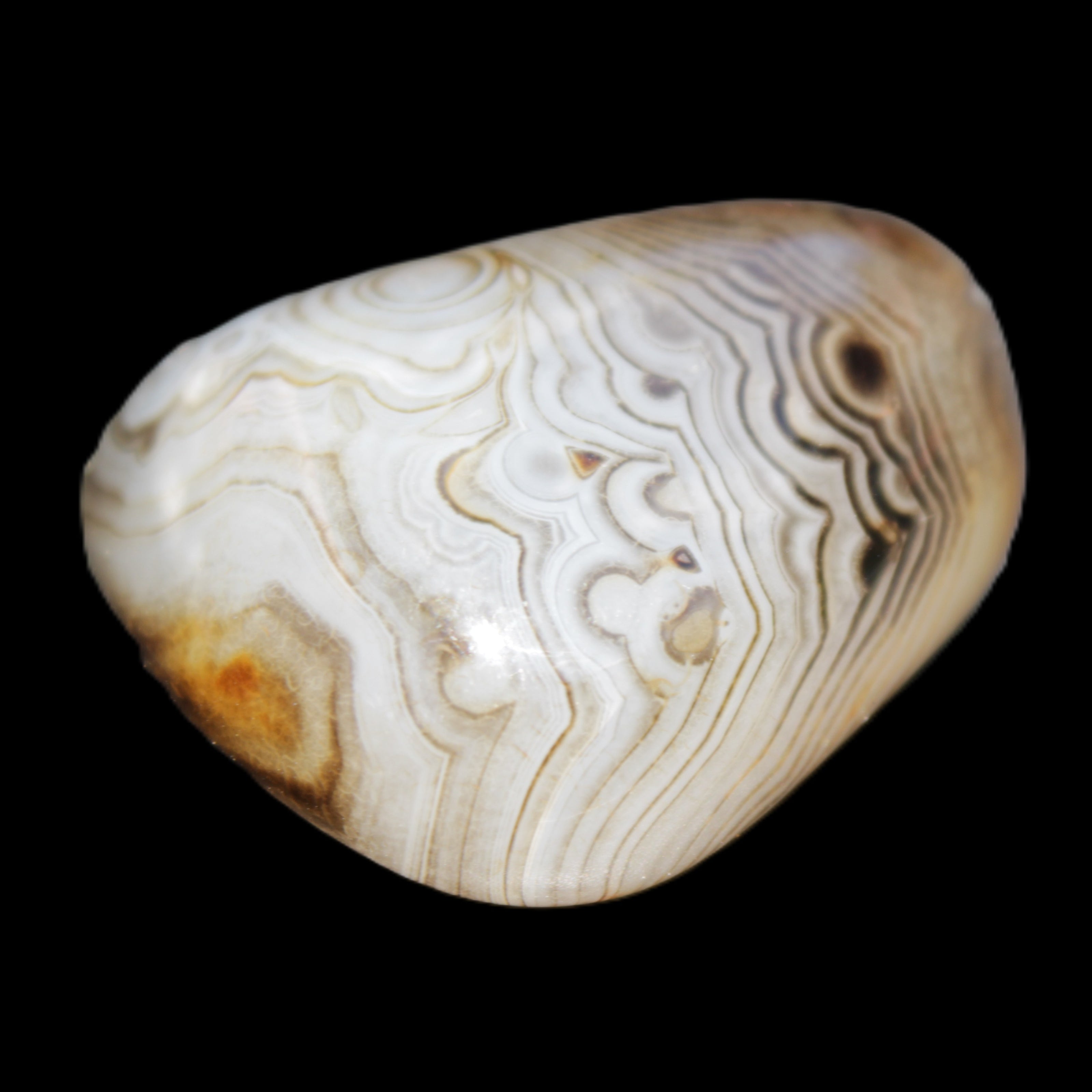 Crazy Lace Agate 41*32*210mm 37g in sunlight - Rocks and Things Store