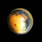 Blue Tigers Eye sphere 32mm 49g in sunlight - Rocks and Things Store