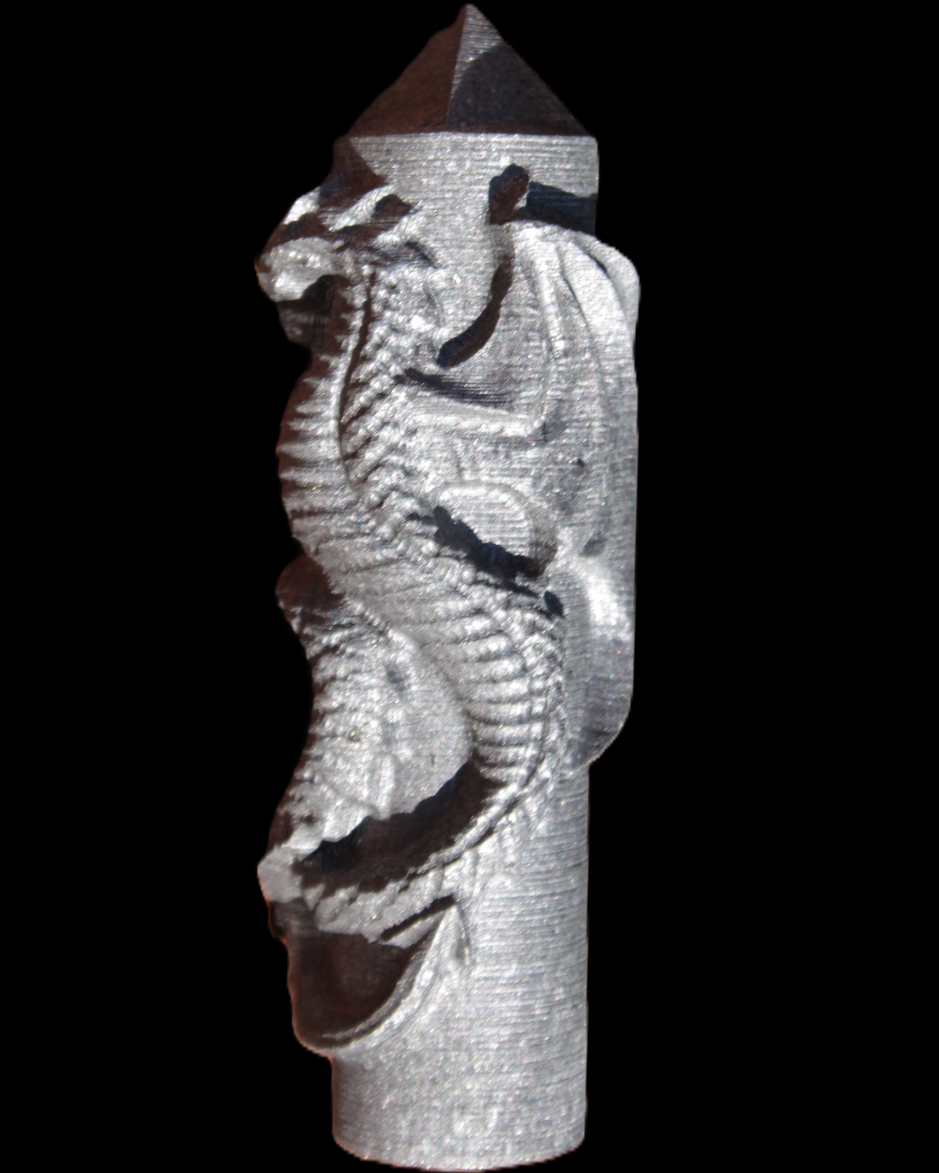 Imitation Shungite hand carved dragon 83g in sunlight - Rocks and Things Store