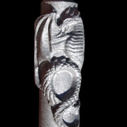 Imitation Shungite hand carved dragon 83g in sunlight - Rocks and Things Store