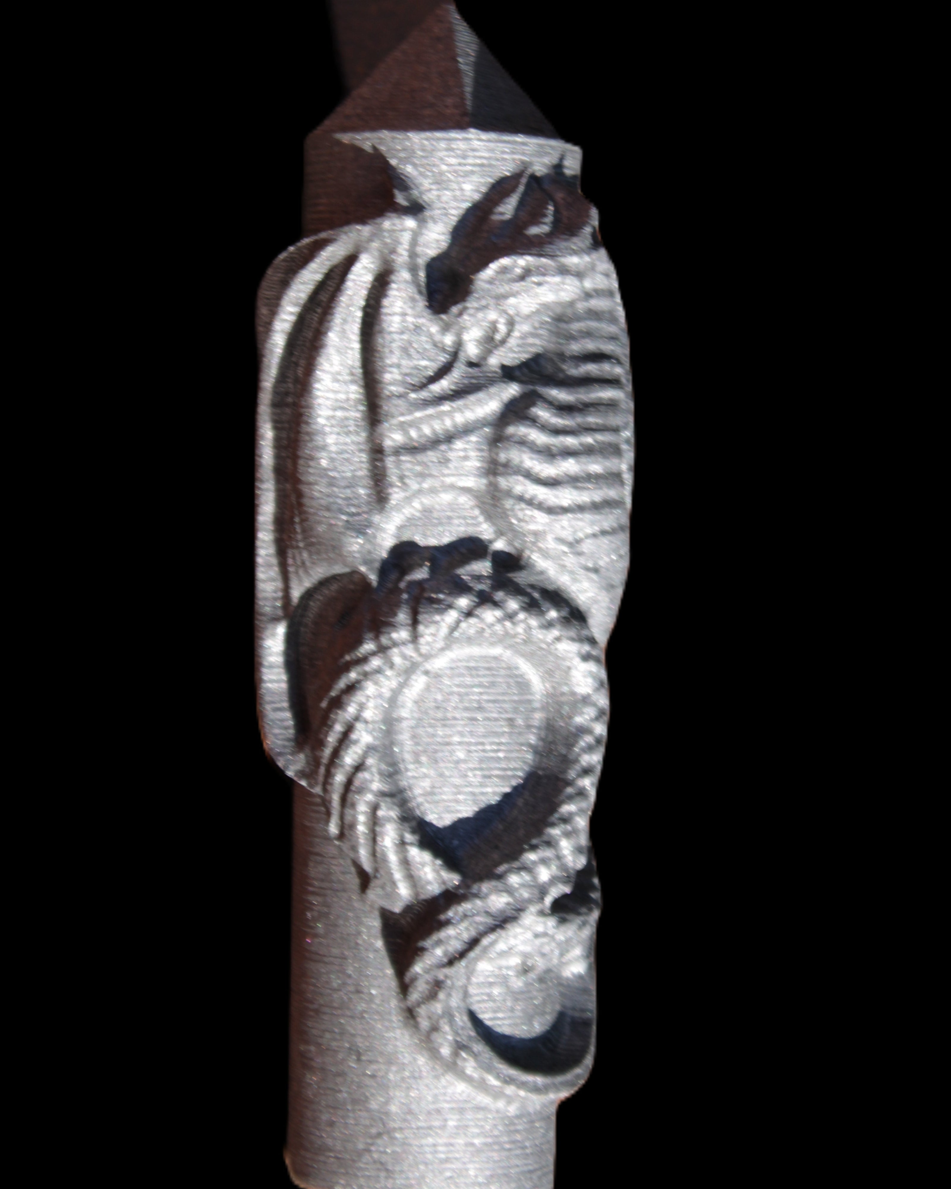 Imitation Shungite hand carved dragon 83g in sunlight - Rocks and Things Store