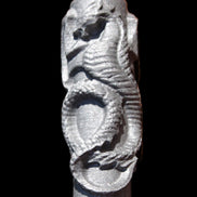 Imitation Shungite hand carved dragon 83g in sunlight - Rocks and Things Store