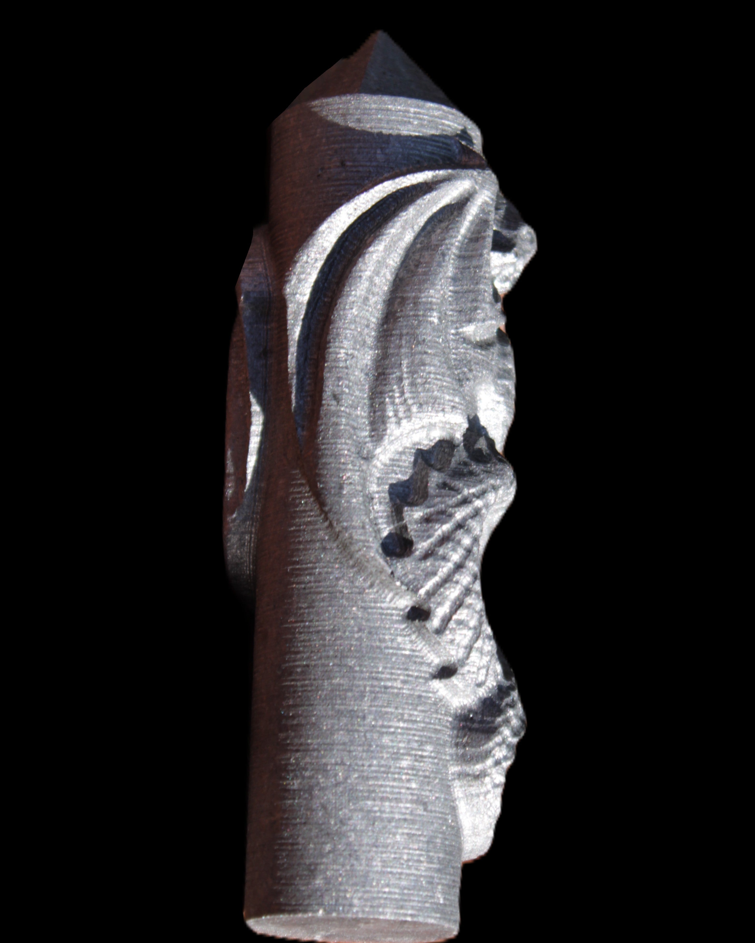 Imitation Shungite hand carved dragon 83g in sunlight - Rocks and Things Store