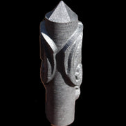 Imitation Shungite hand carved dragon 83g in sunlight - Rocks and Things Store