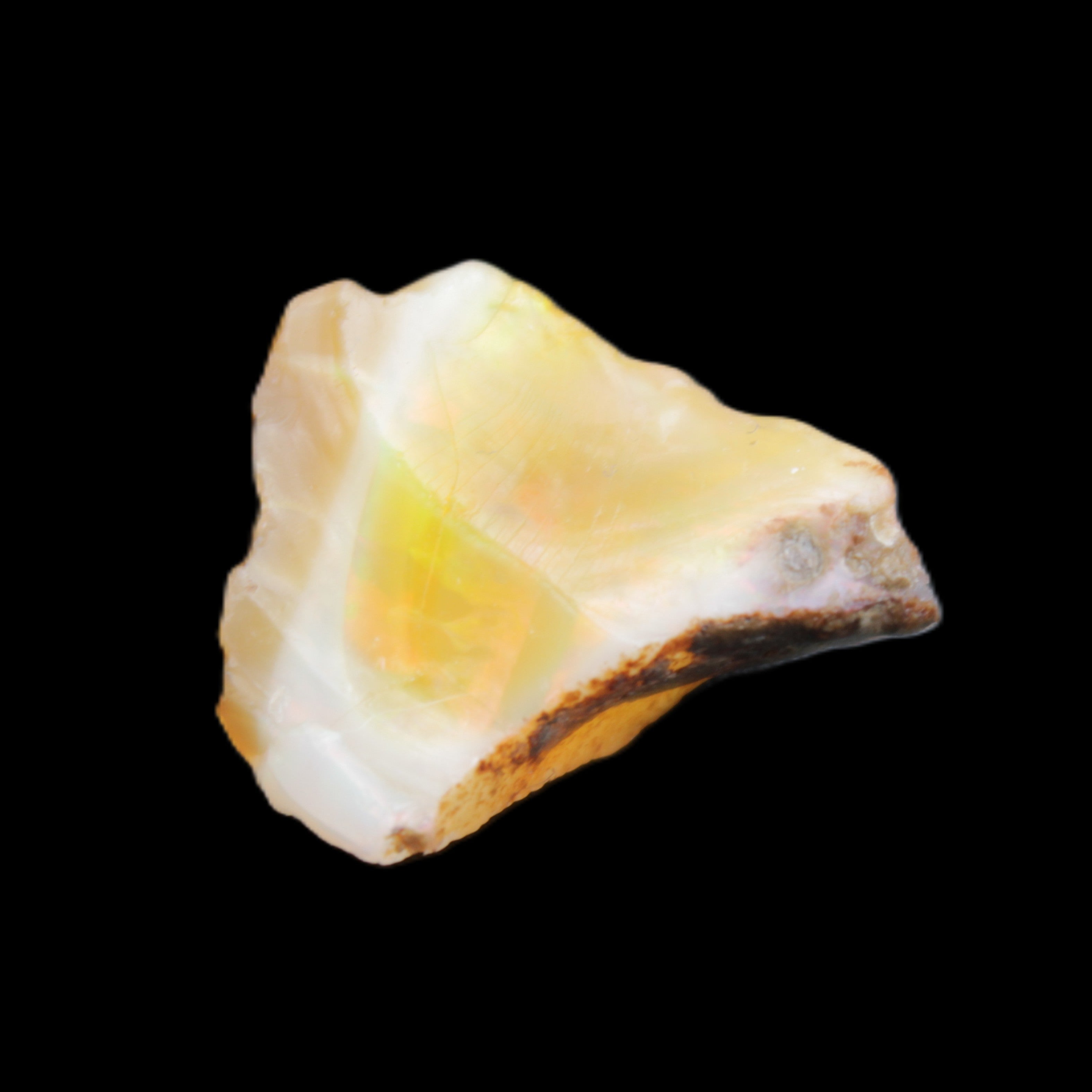 Natural Oil Fire Black Opal from Ethopia 22mm 15.0ct in sunlight - Rocks and Things Store