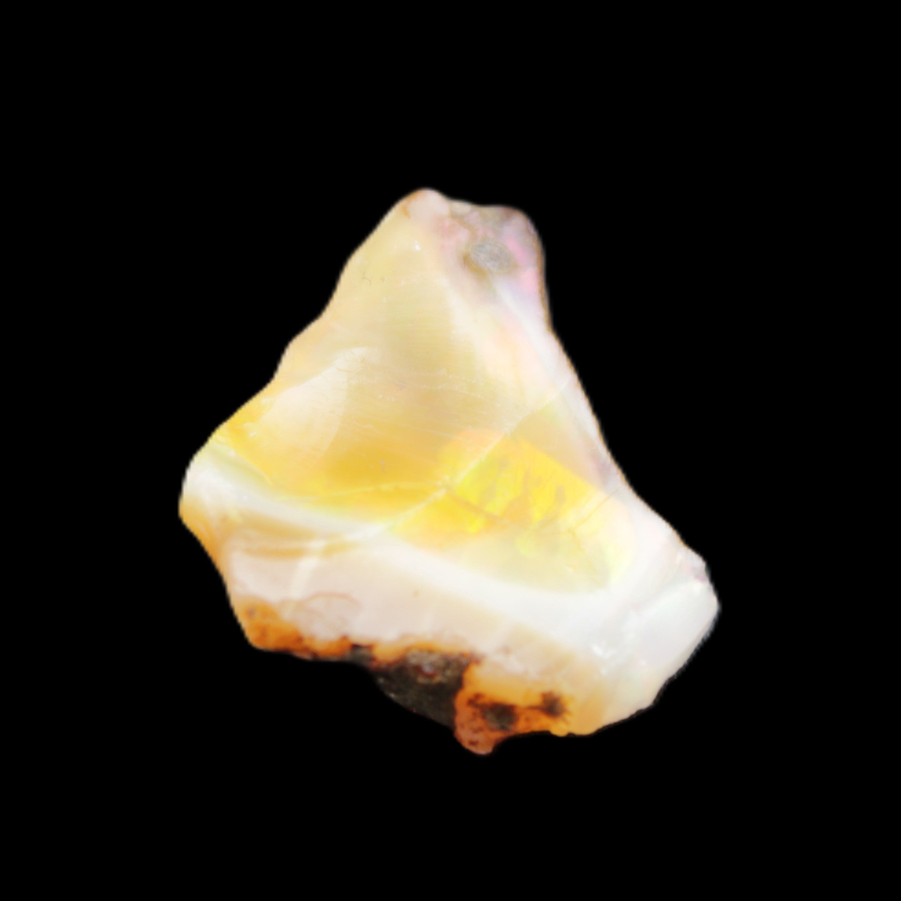 Natural Oil Fire Black Opal from Ethopia 22mm 15.0ct in sunlight - Rocks and Things Store