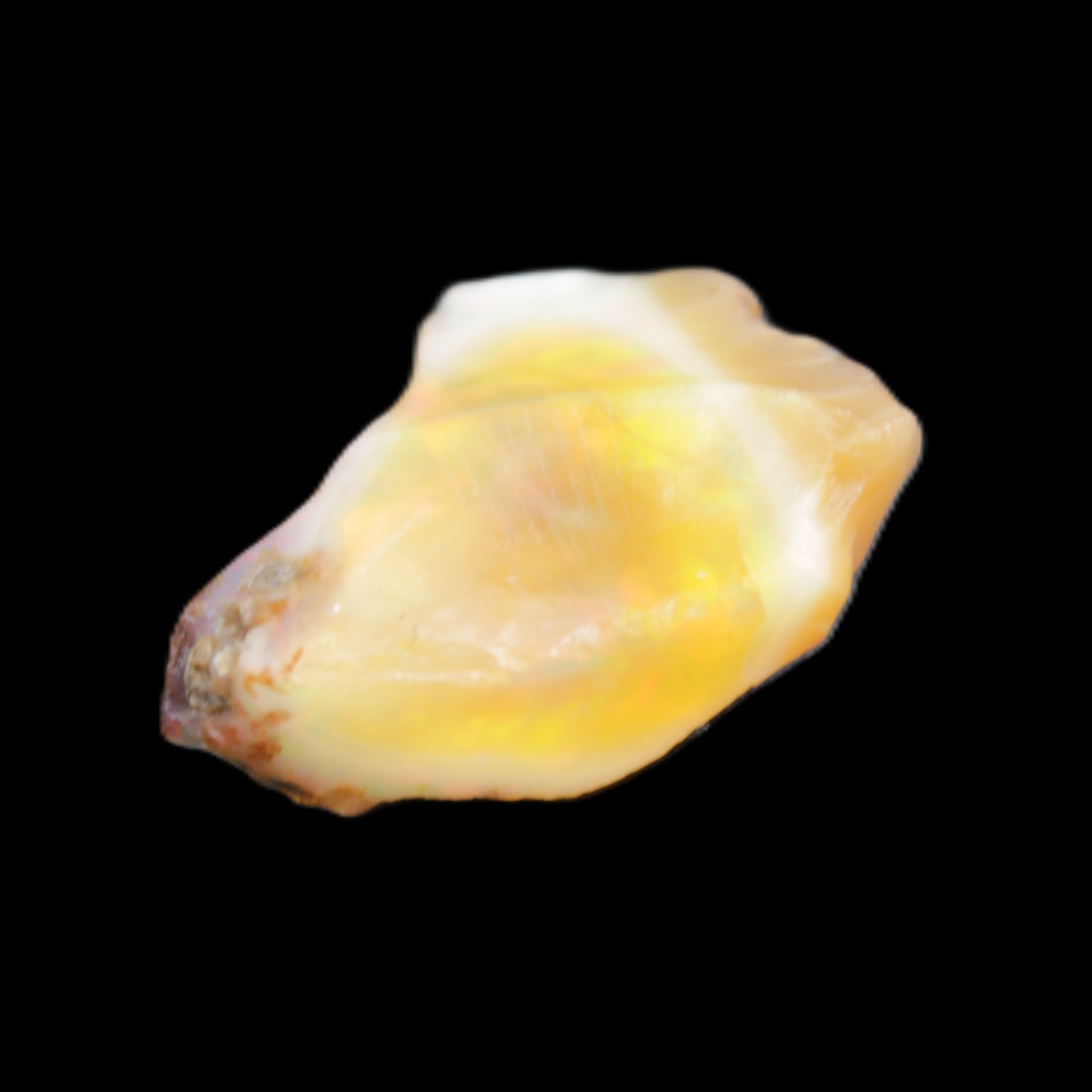 Natural Oil Fire Black Opal from Ethopia 22mm 15.0ct in sunlight - Rocks and Things Store