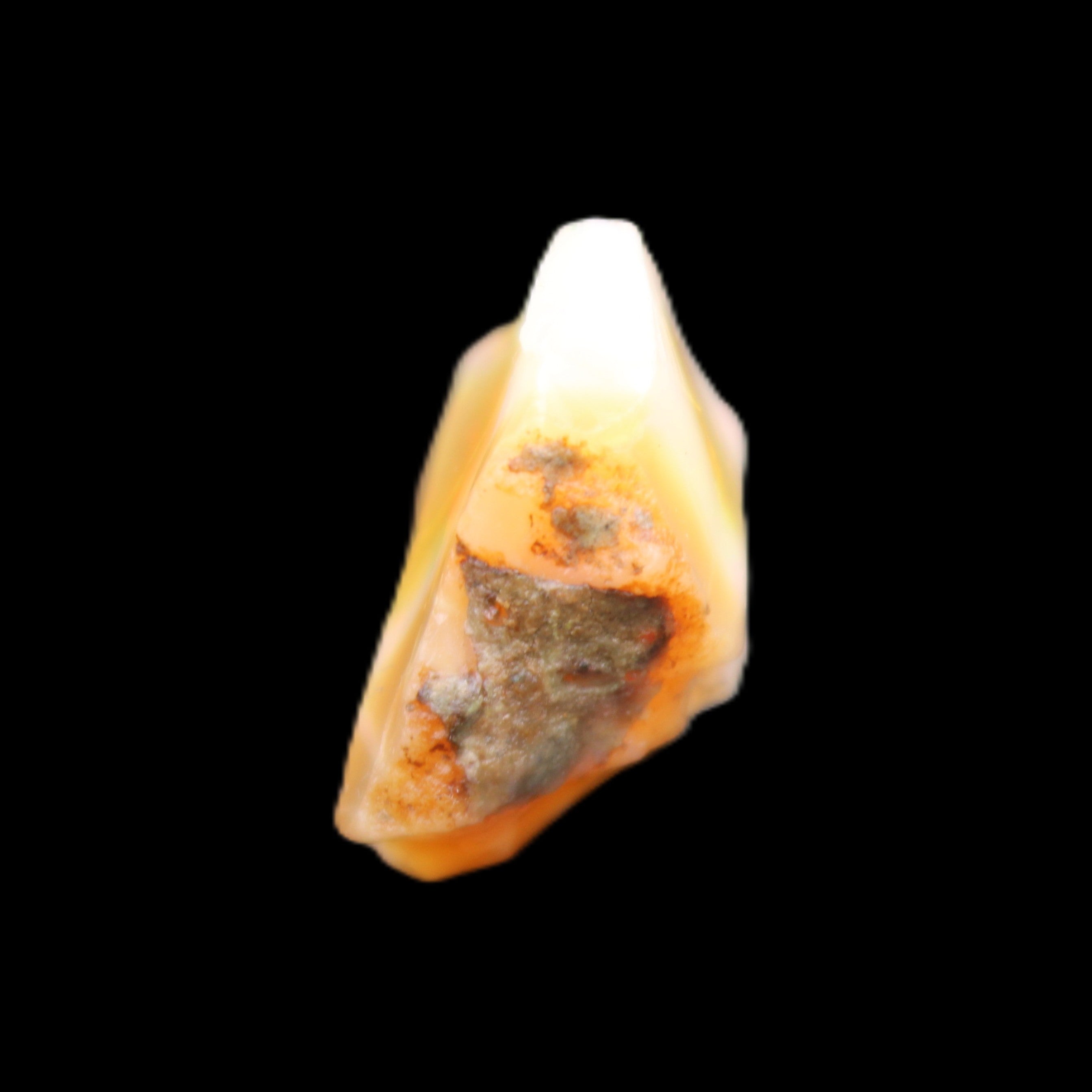 Natural Oil Fire Black Opal from Ethopia 22mm 15.0ct in sunlight - Rocks and Things Store