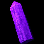 Lapis Lazuli wand 77mm 85g in UV light - Rocks and Things Store