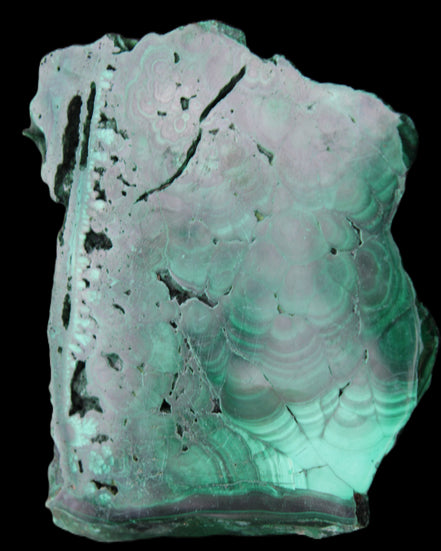 Glossy Malachite specimen 106*74*12mm 298g in sunlight - Rocks and Things Store