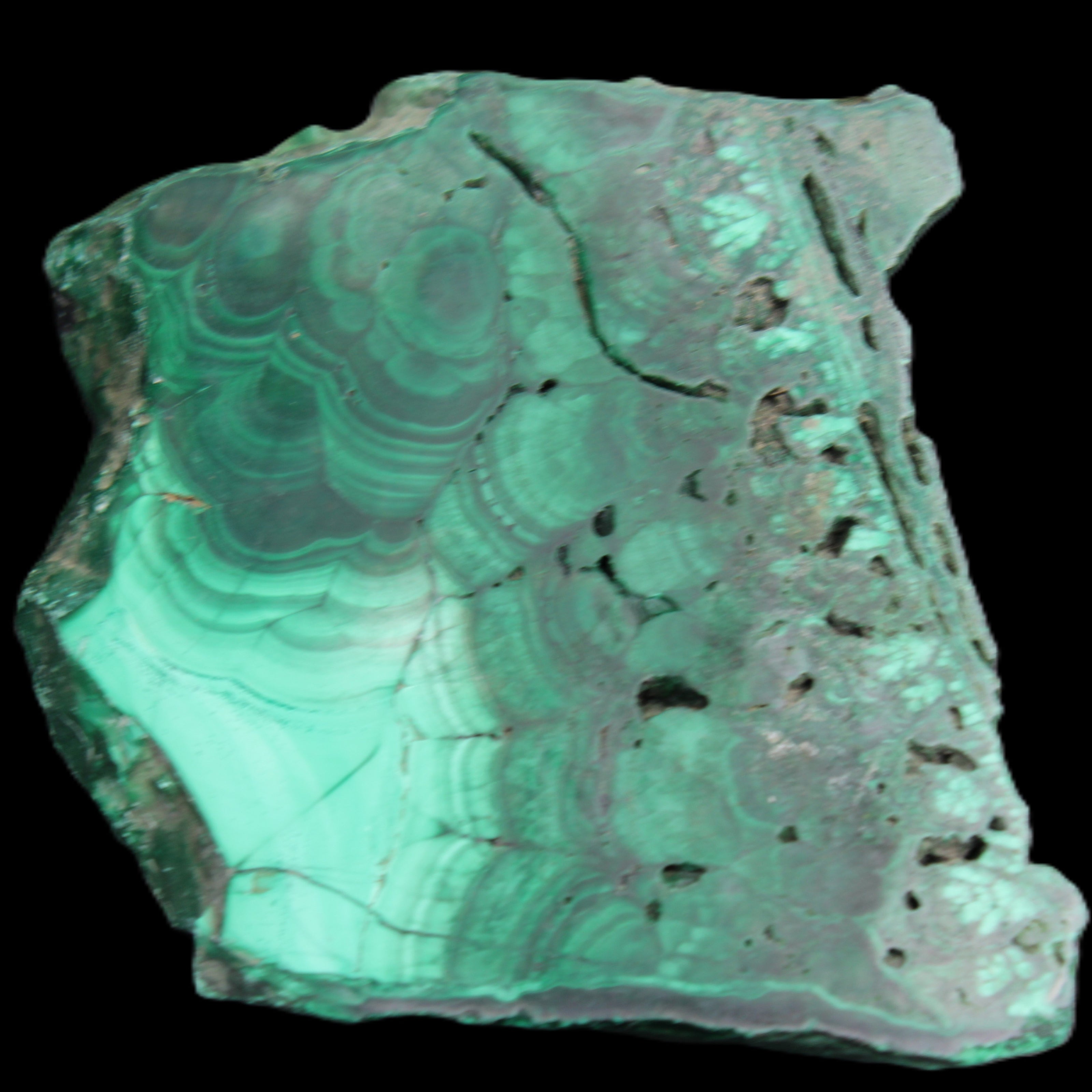 Glossy Malachite specimen 106*74*12mm 298g in sunlight - Rocks and Things Store