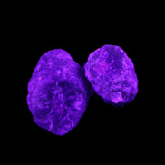 Ruby Red Corundum Green Jasper 2/3 specimens 19-20g in UV light - Rocks and Things Store