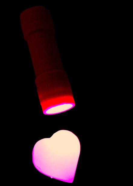 EverBrite UV Black Light Flashlight 9-Led 395nm with batteries in sunlight - Rocks and Things Store