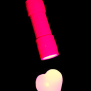 EverBrite UV Black Light Flashlight 9-Led 395nm with batteries in sunlight - Rocks and Things Store