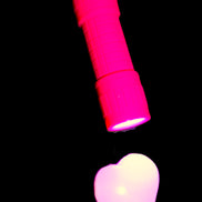 EverBrite UV Black Light Flashlight 9-Led 395nm with batteries in sunlight - Rocks and Things Store