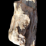 Petrified Wood half log from Madagascar 133*74*50mm 618g in sunlight - Rocks and Things Store