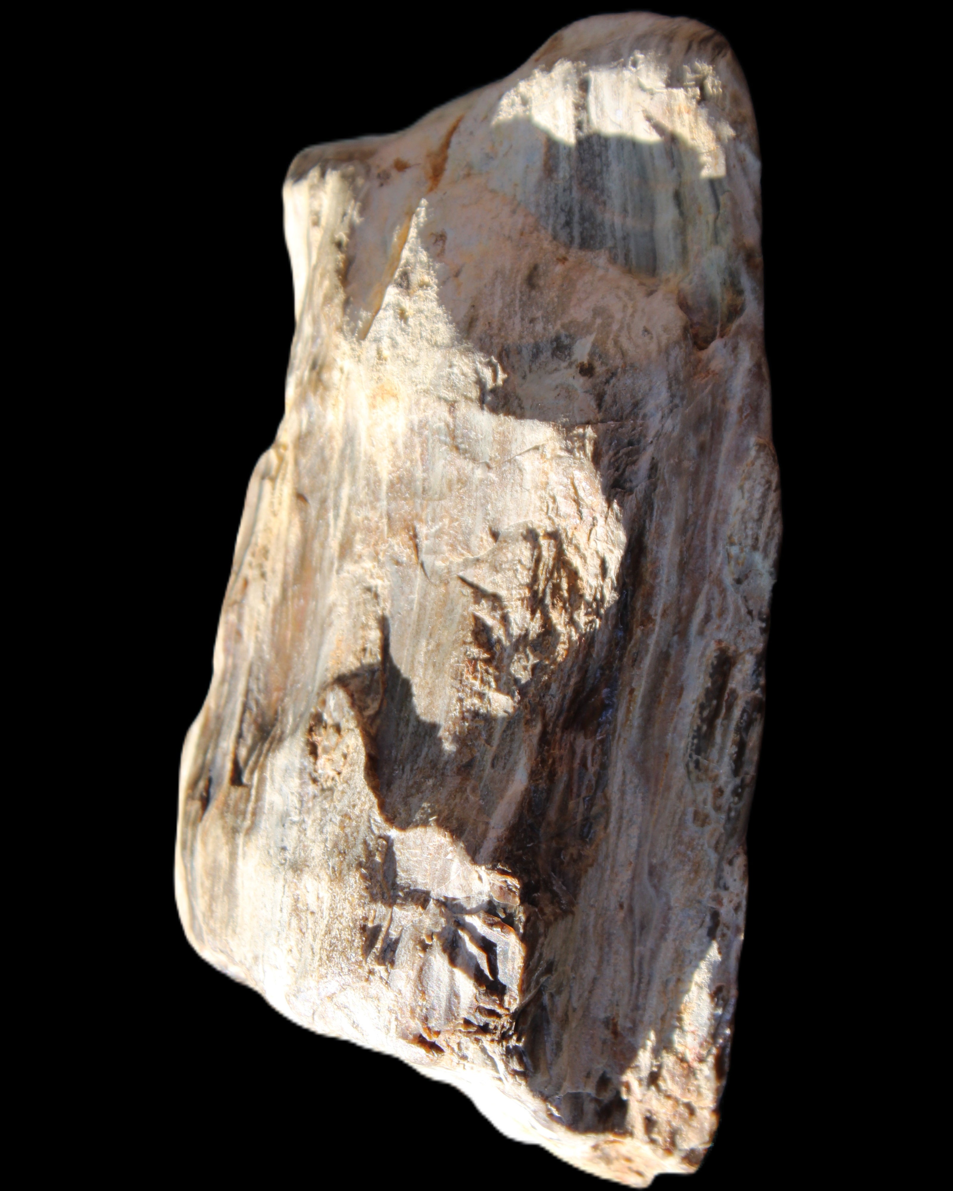 Petrified Wood half log from Madagascar 133*74*50mm 618g in sunlight - Rocks and Things Store