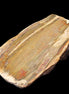 Petrified Wood half log from Madagascar 133*74*50mm 618g in sunlight - Rocks and Things Store