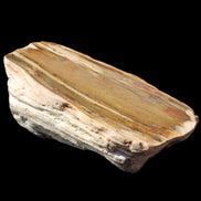 Petrified Wood half log from Madagascar 133*74*50mm 618g in sunlight - Rocks and Things Store