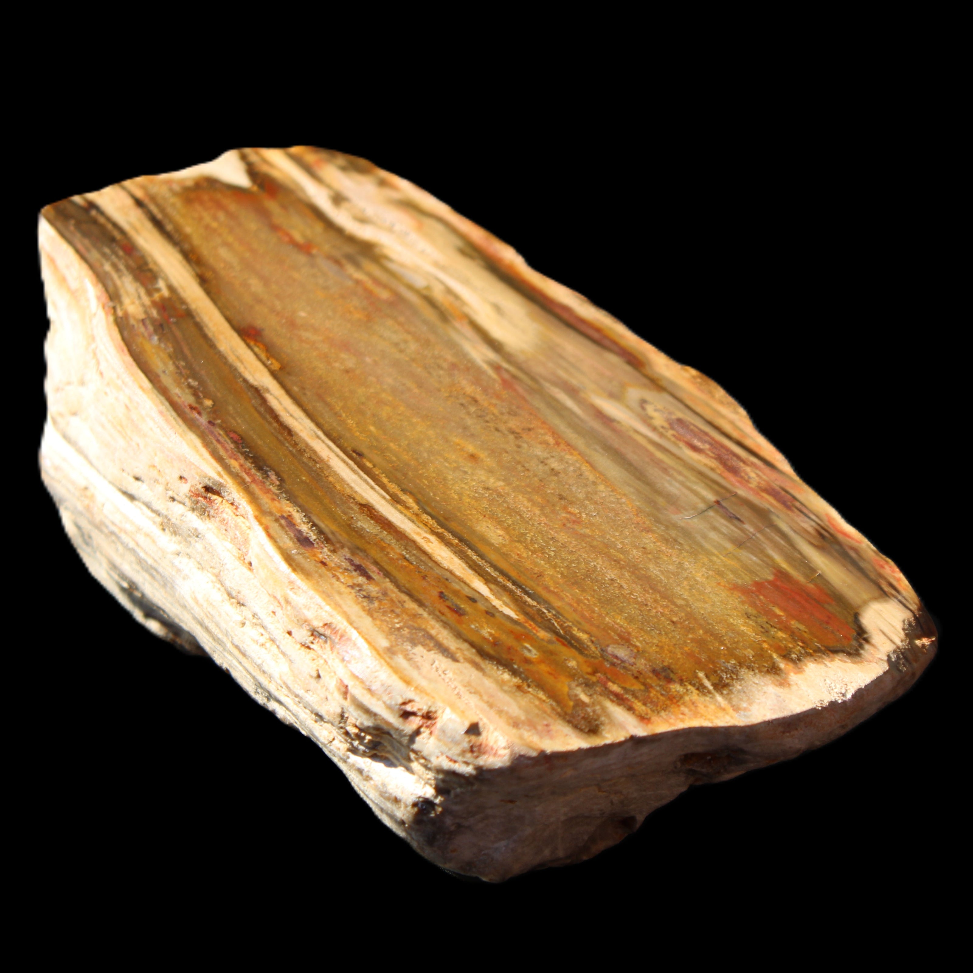 Petrified Wood half log from Madagascar 133*74*50mm 618g in sunlight - Rocks and Things Store