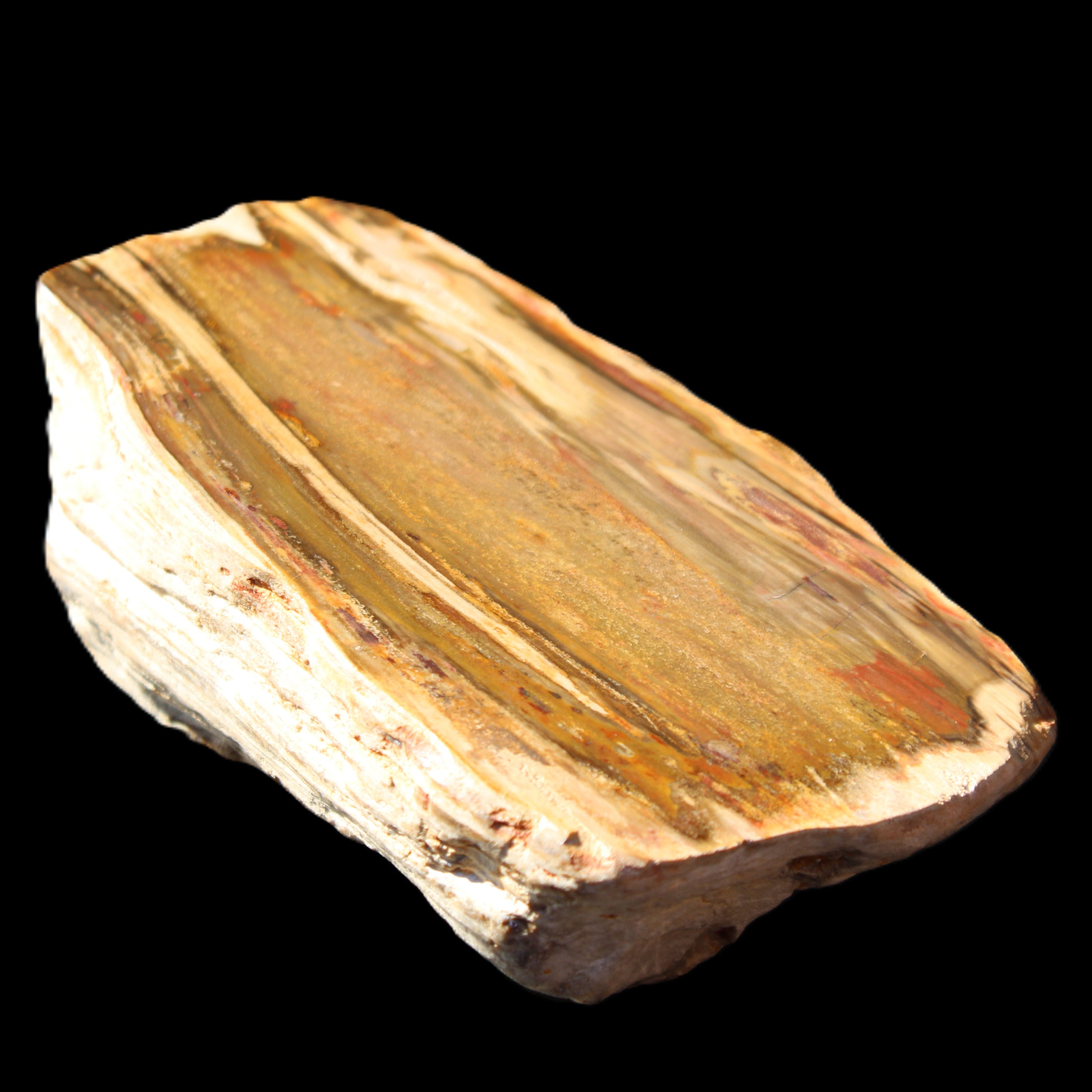 Petrified Wood half log from Madagascar 133*74*50mm 618g in sunlight - Rocks and Things Store