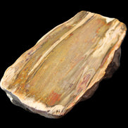 Petrified Wood half log from Madagascar 133*74*50mm 618g in sunlight - Rocks and Things Store