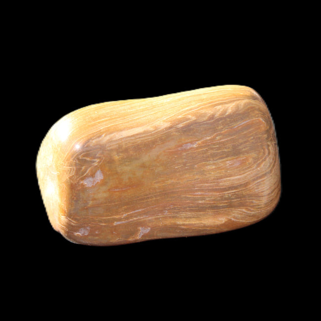 Petrified Wood 42*22*21mm 32g in sunlight - Rocks and Things Store
