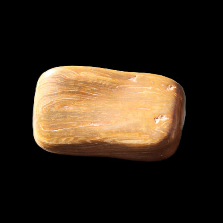 Petrified Wood 42*22*21mm 32g in sunlight - Rocks and Things Store