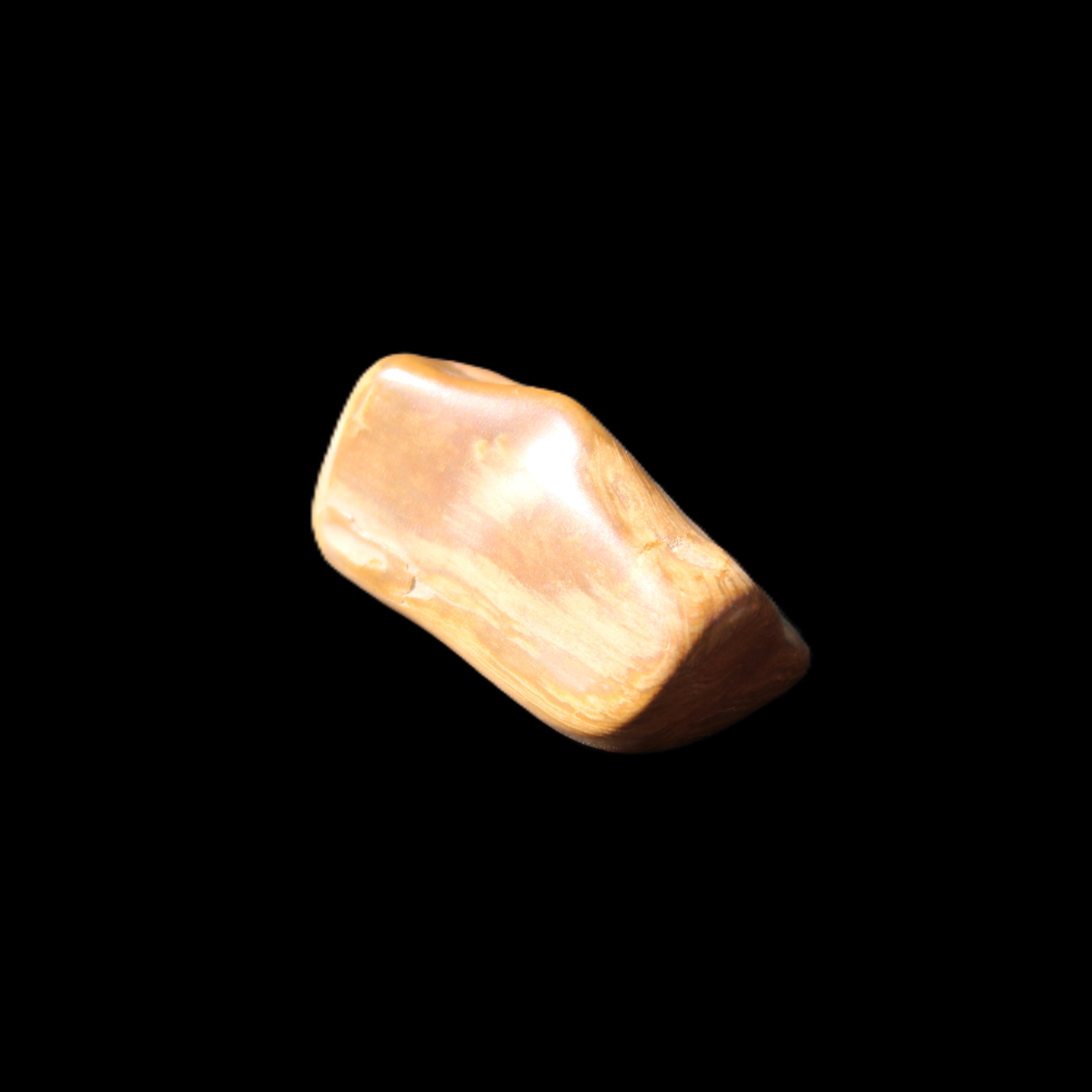 Petrified Wood 42*22*21mm 32g in sunlight - Rocks and Things Store