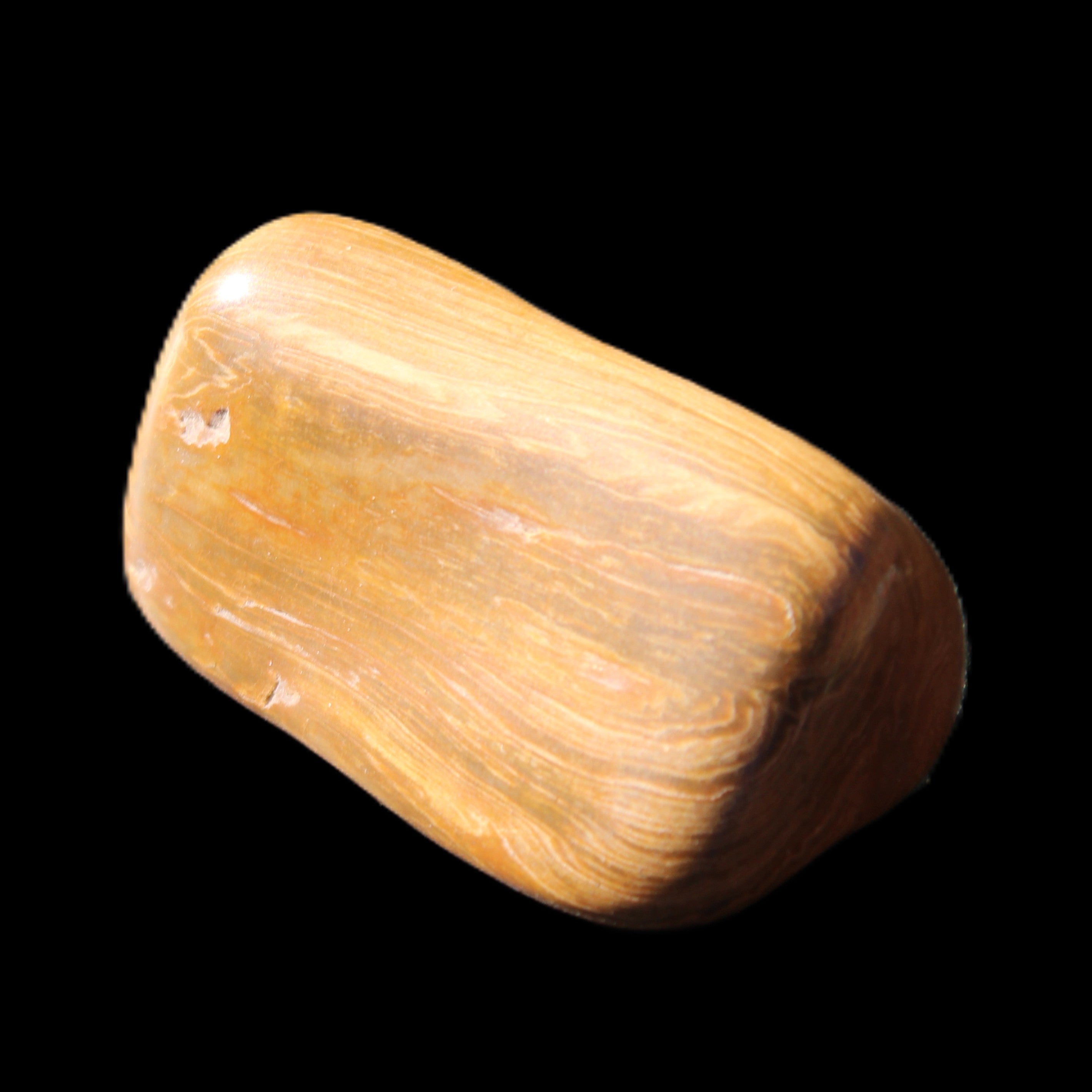 Petrified Wood 42*22*21mm 32g in sunlight - Rocks and Things Store