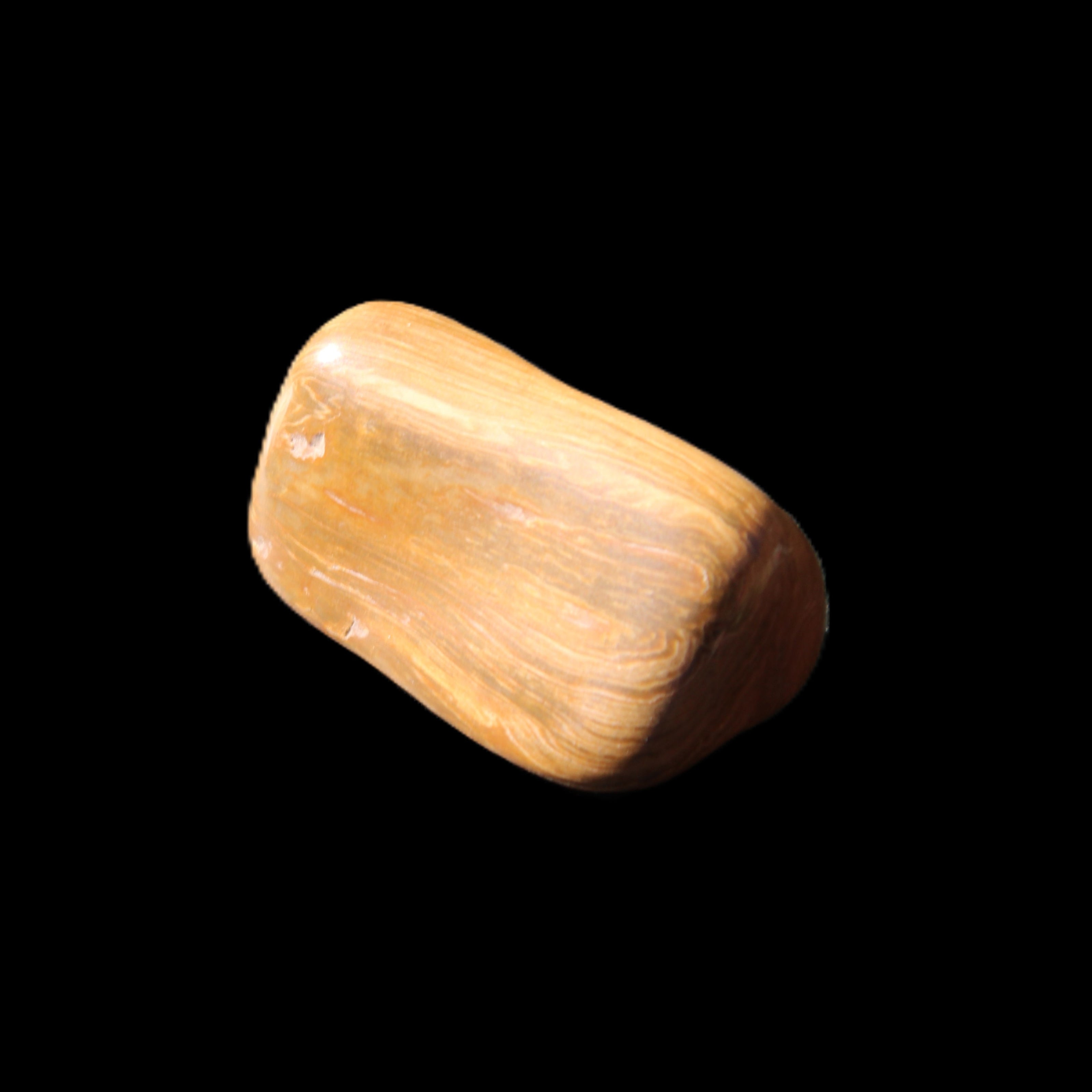 Petrified Wood 42*22*21mm 32g in sunlight - Rocks and Things Store