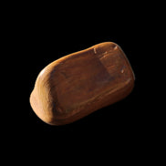 Petrified Wood 42*22*21mm 32g in sunlight - Rocks and Things Store