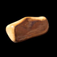 Petrified Wood 42*22*21mm 32g in sunlight - Rocks and Things Store