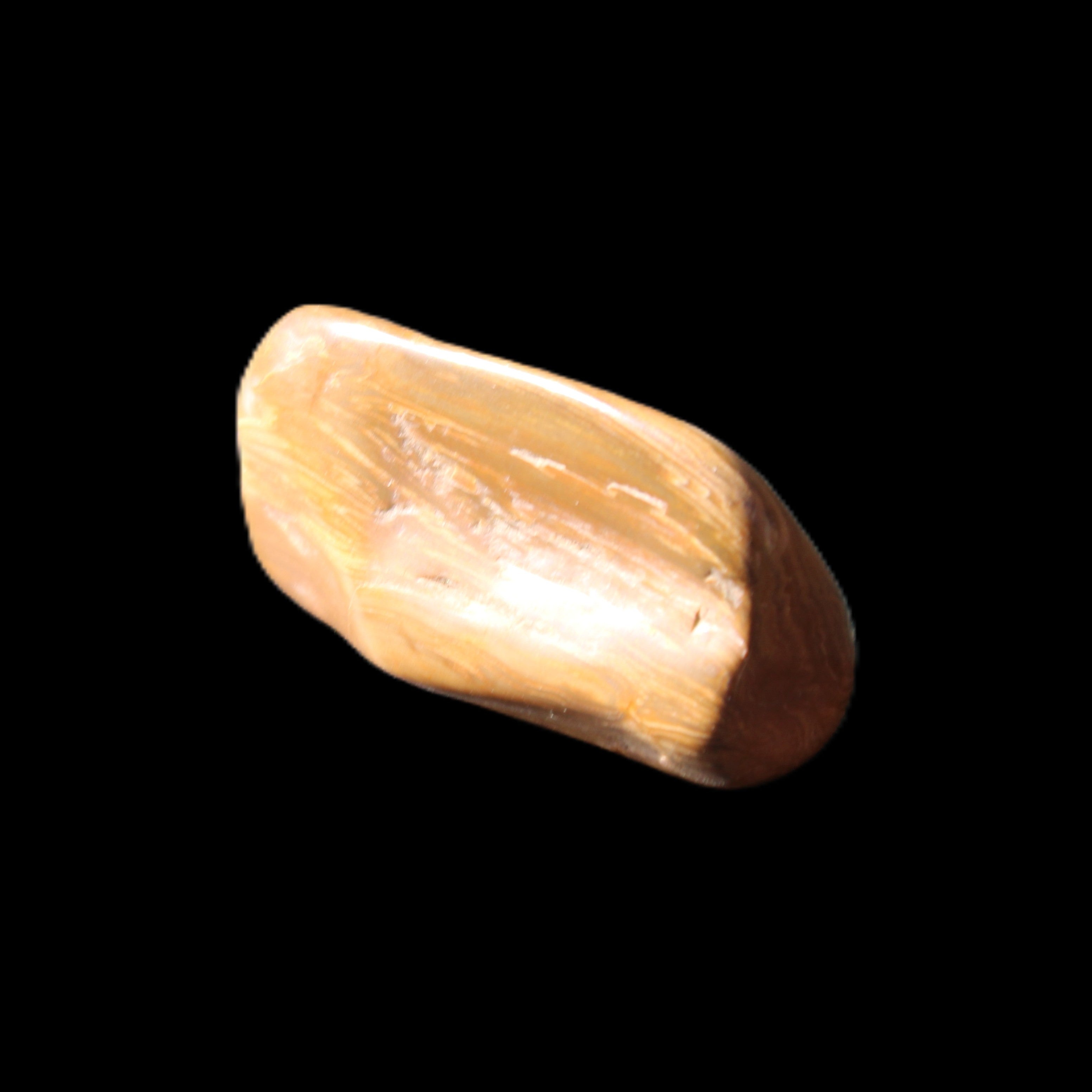 Petrified Wood 42*22*21mm 32g in sunlight - Rocks and Things Store