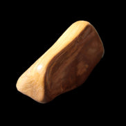 Petrified Wood 42*22*21mm 32g in sunlight - Rocks and Things Store