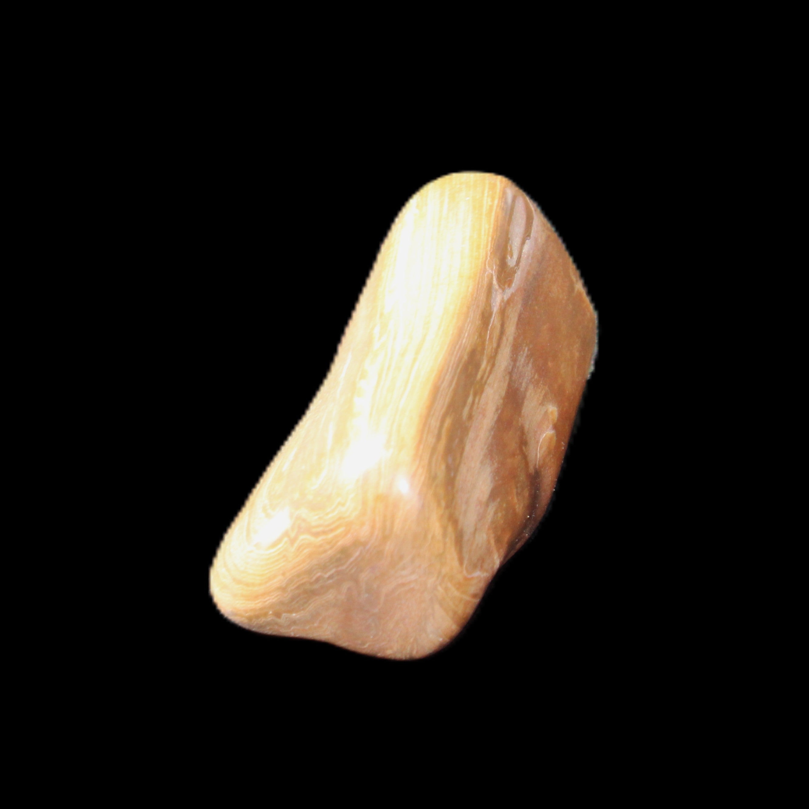 Petrified Wood 42*22*21mm 32g in sunlight - Rocks and Things Store